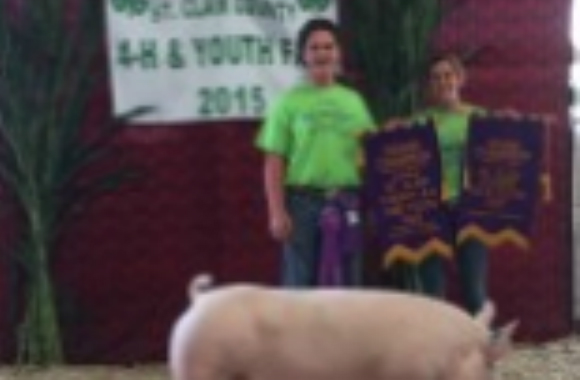 Hillis_Ryan_St_Clair_Fair_2015_580wx380h Hillis_Ryan_St_Clair_Fair_2015_580wx380h