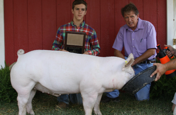Hinkle_Clayton_jax_fair_Light_Wgt_Barrow_2015_Lite Hinkle_Clayton_jax_fair_Light_Wgt_Barrow_2015_Lite