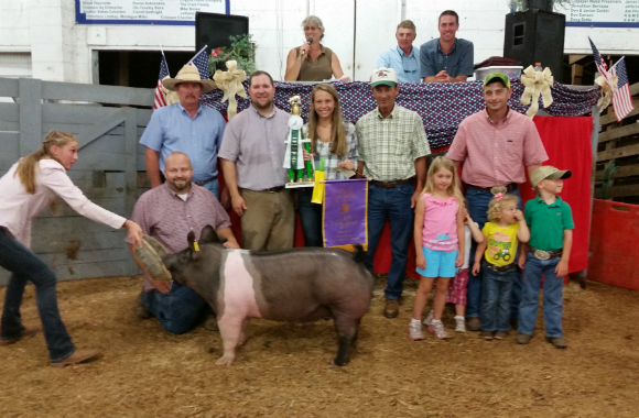 Sheads_Samantha _CMR_Farm_Show_Lite Sheads_Samantha _CMR_Farm_Show_Lite